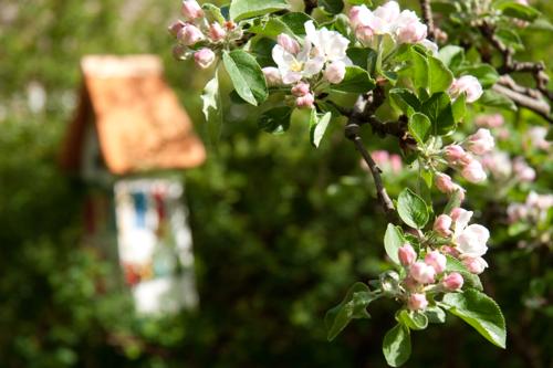 Gartenimpressionen der Holländersiedlung