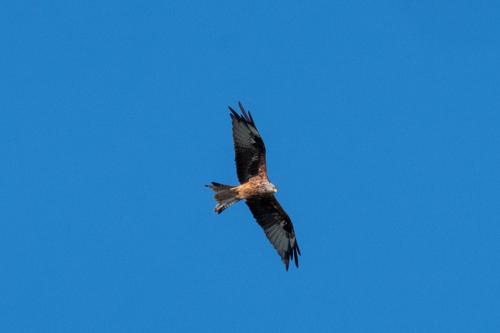 20210908-DSCF7375.jpg