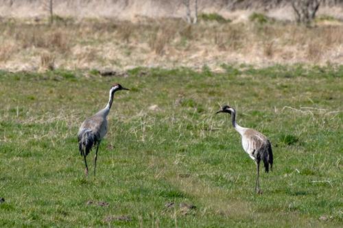 20220412-DSCF7350.jpg