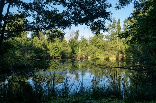 20220622-DSCF7829.jpg