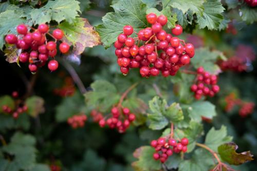 20220828-DSCF9598.jpg