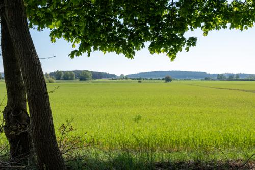 20240427-DSCF0365.jpg