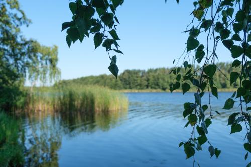 20240813-DSCF0693.jpg