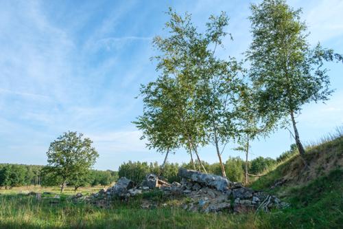 Alte Bunkerreste