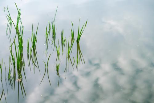 20240817-DSCF9835.jpg