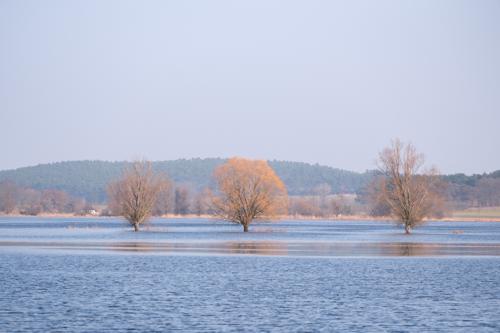 20250308-DSCF1935.jpg