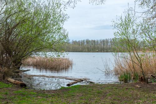 20250413-DSCF2136.jpg