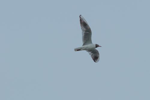 20250529-DSCF3113.jpg