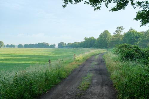 20250601-DSCF3514.jpg