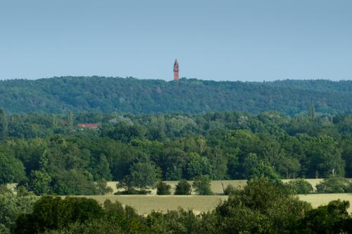 20250611-DSCF3665-Verbessert-RR.jpg