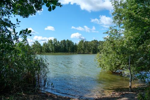 Blick auf den See