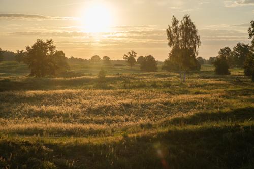 Sonnenaufgang in der Döberitzer Heide