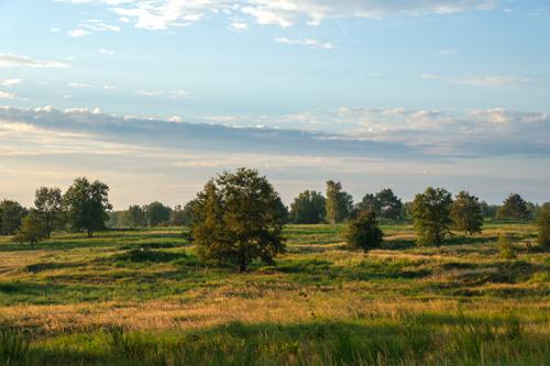 Sonnenaufgang in der Döberitzer Heide