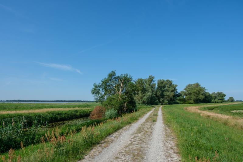Weg am Bärengraben