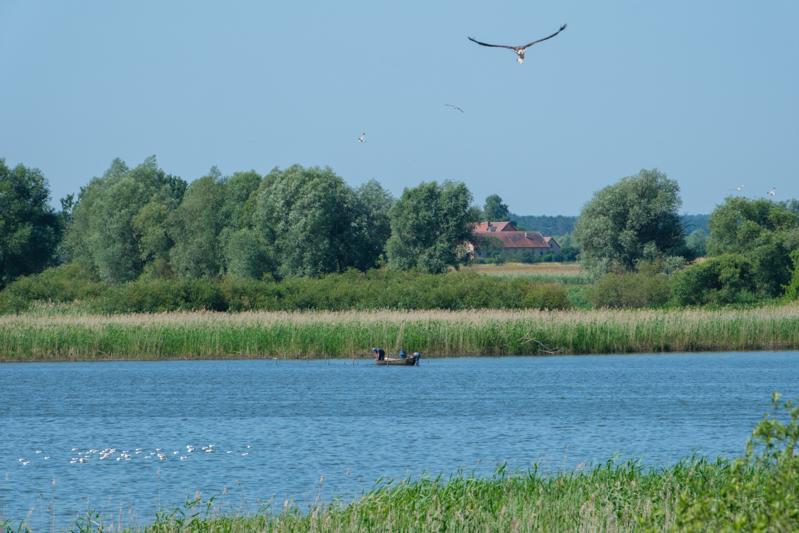 Fischer und Alder am Gülper See