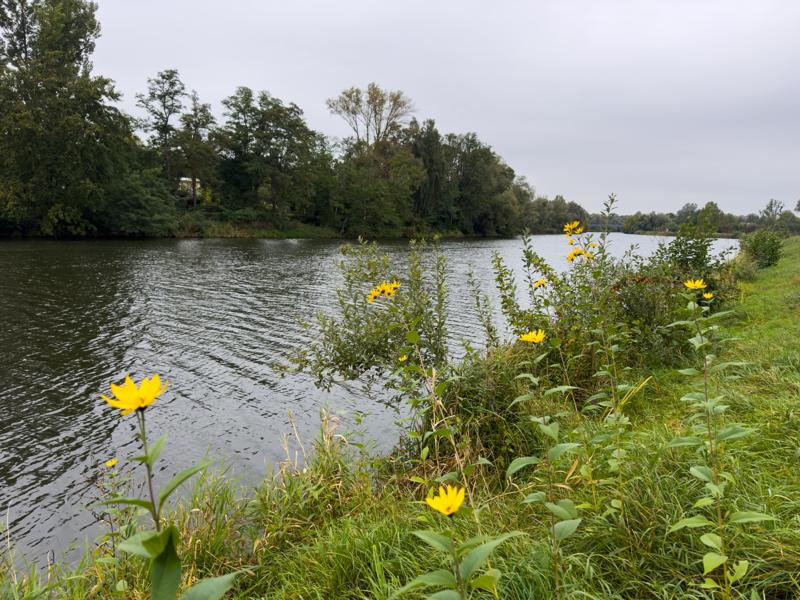 Der Havelkanal